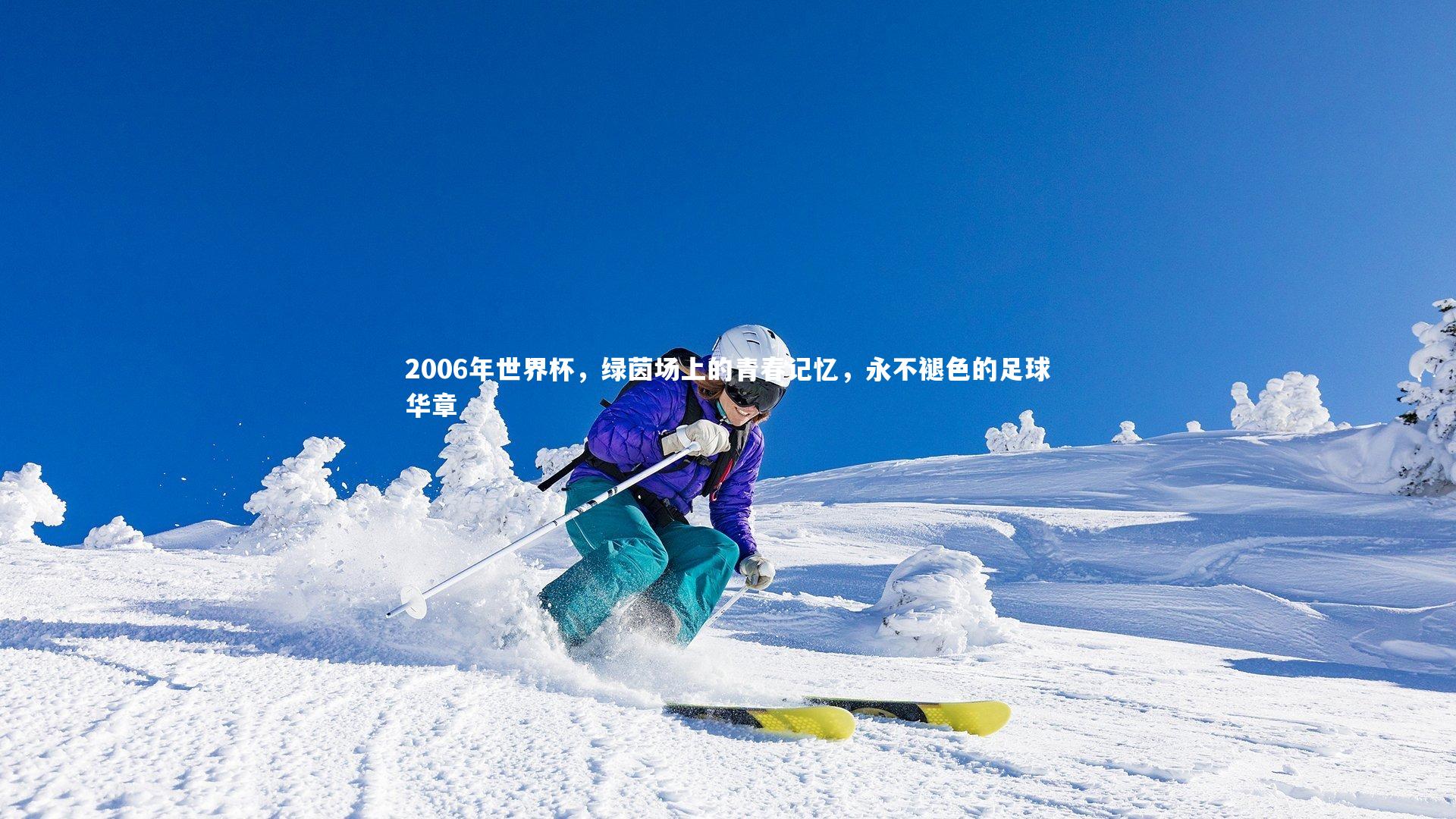 2006年世界杯，绿茵场上的青春记忆，永不褪色的足球华章